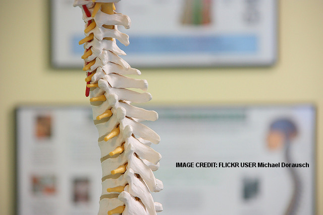 The New Science of Spinal Regeneration